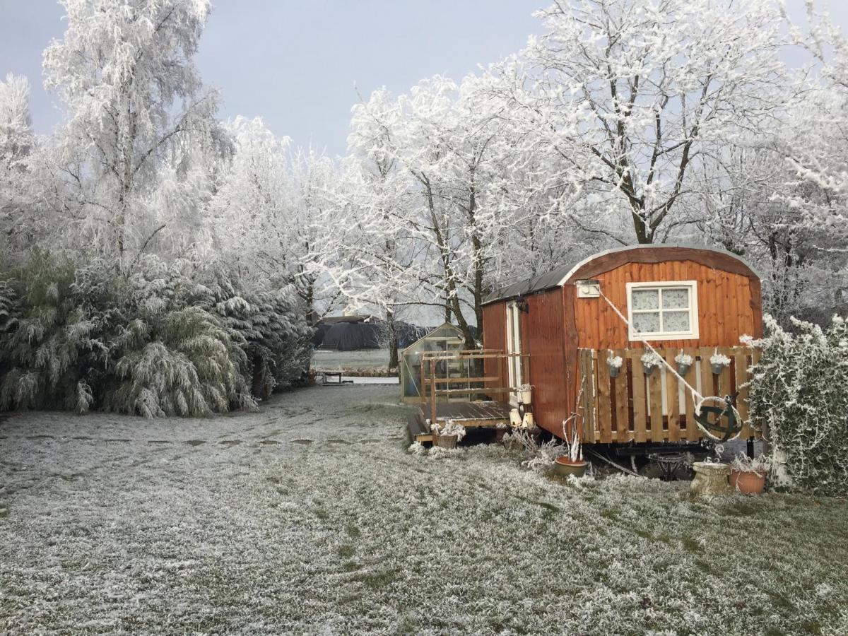 B&B Hetvrijdagsgevoel 斯内克 外观 照片